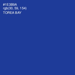 #1E3B9A - Torea Bay Color Image